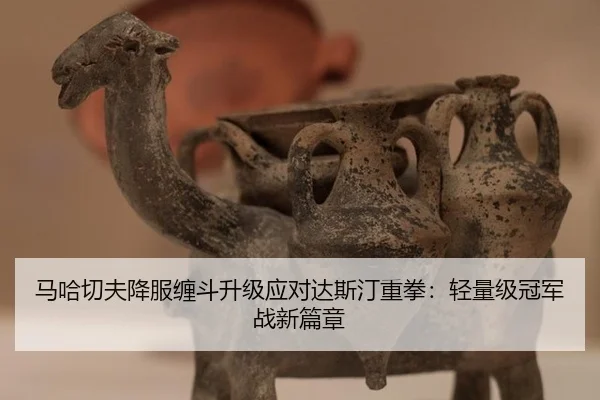 ma-ha-qie-fu-xiang-fu-chan-dou-sheng-ji-ying-dui-da-si-ting-zhong-quan-qing-liang-ji-guan-jun-zhan-xin-pian-zhang-2-376.jpg